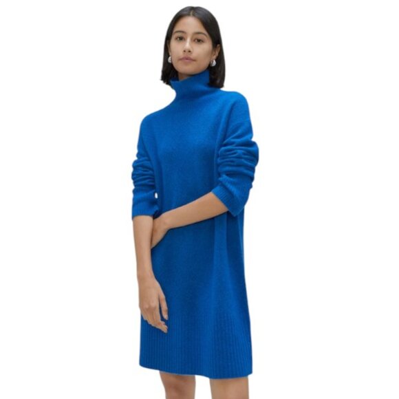 NWT Wool Blend Blue Everlane Long Sleeve The Cozy Stretch Turtleneck Dress-Small - Picture 1 of 5
